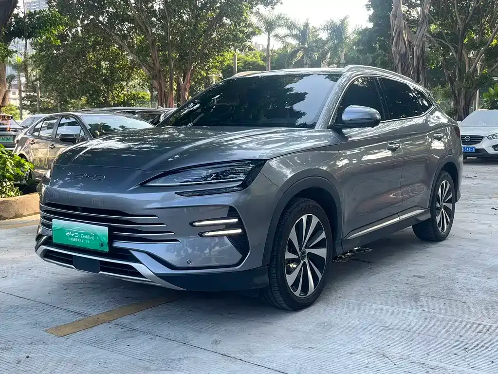 BYD PLUS New Energy — фото 1