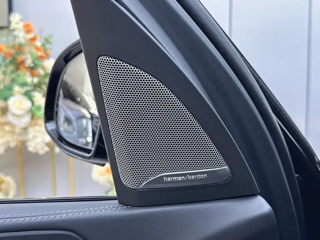 BMW X5 — фото 8