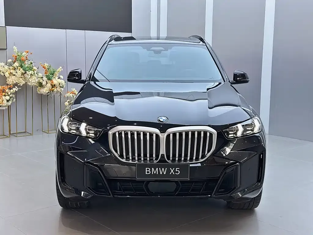 BMW X5 — фото 10