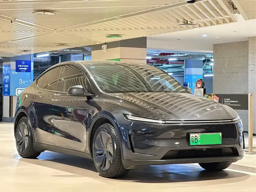 Tesla Model Y — фото 9