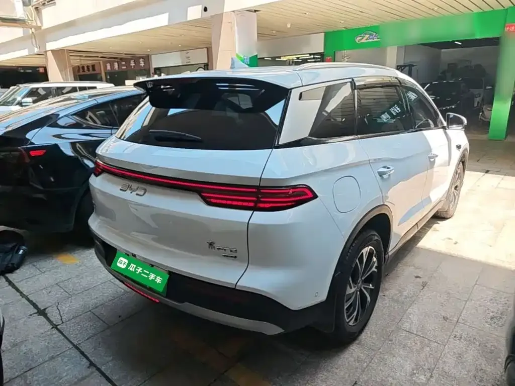 BYD Pro New Energy — фото 10