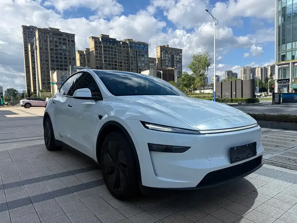 Tesla Model Y — фото 8