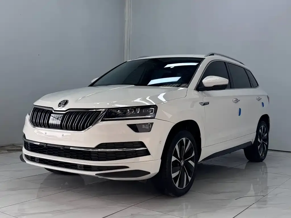 Skoda Karoq — фото 1