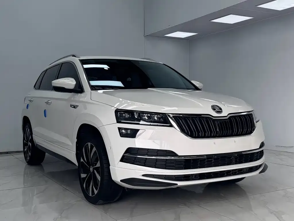 Skoda Karoq — фото 7