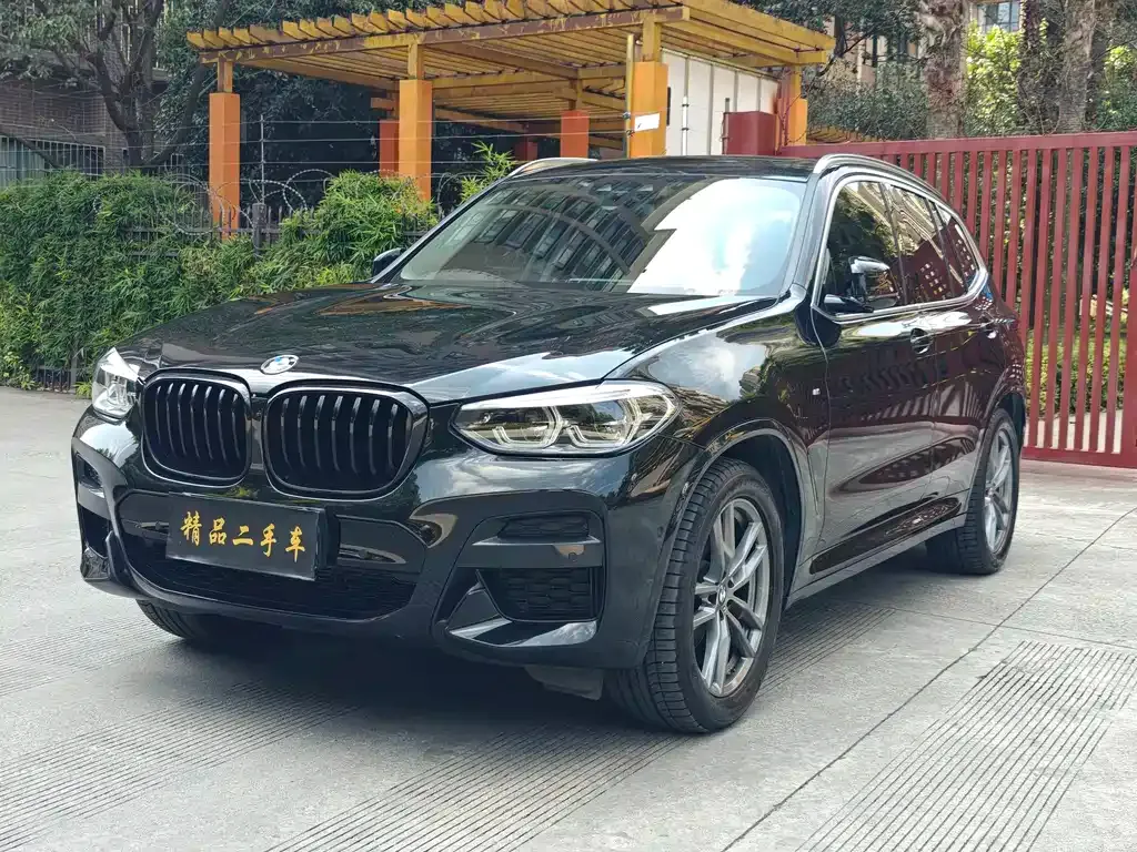 BMW X3 — фото 1