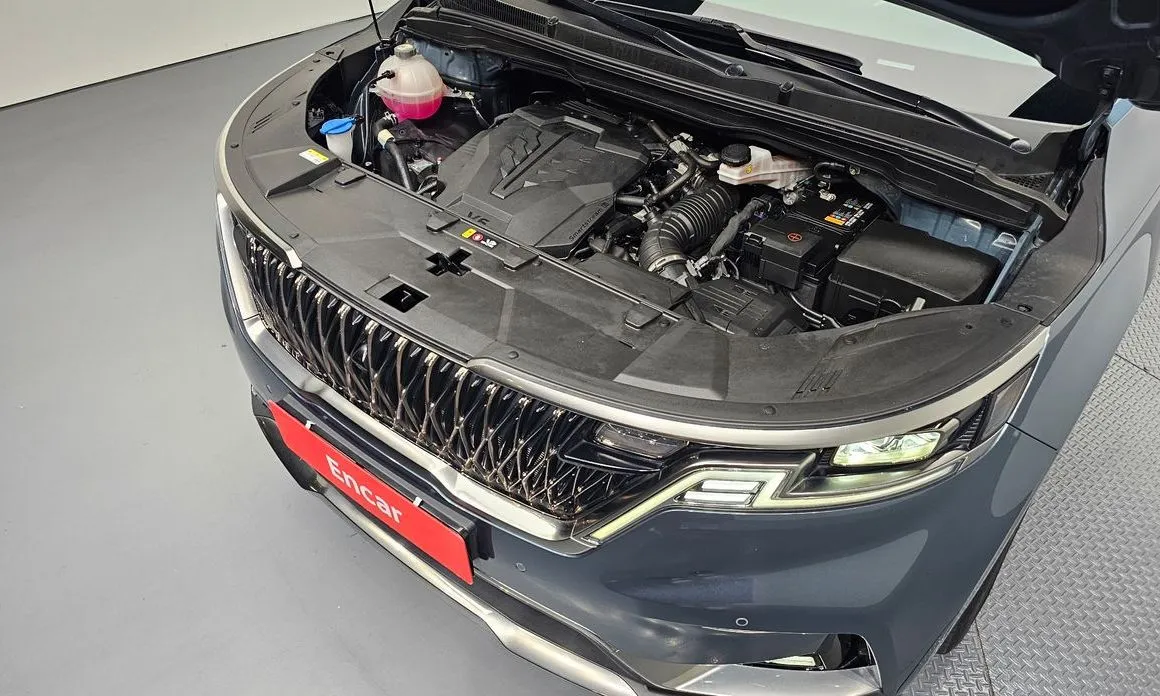Kia Carnival — фото 10