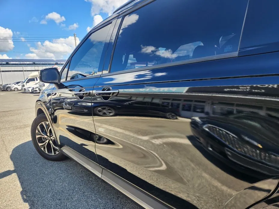 Kia Carnival — фото 10