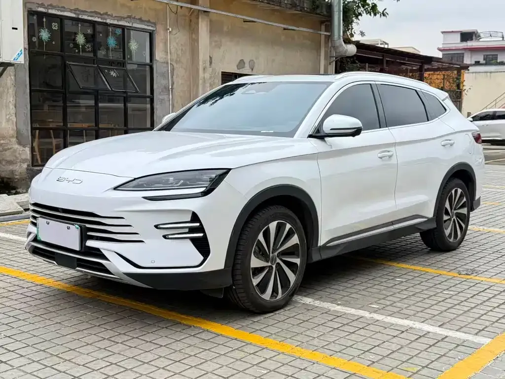 BYD PLUS New Energy — фото 1