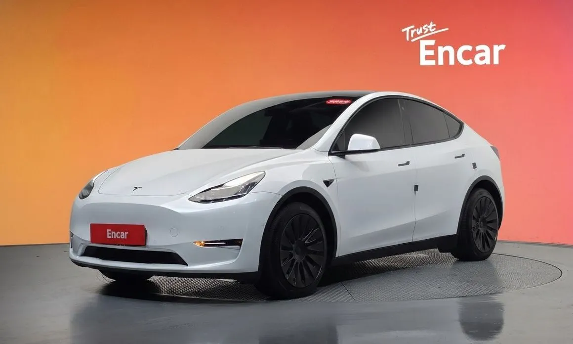 Tesla Model Y — фото 1