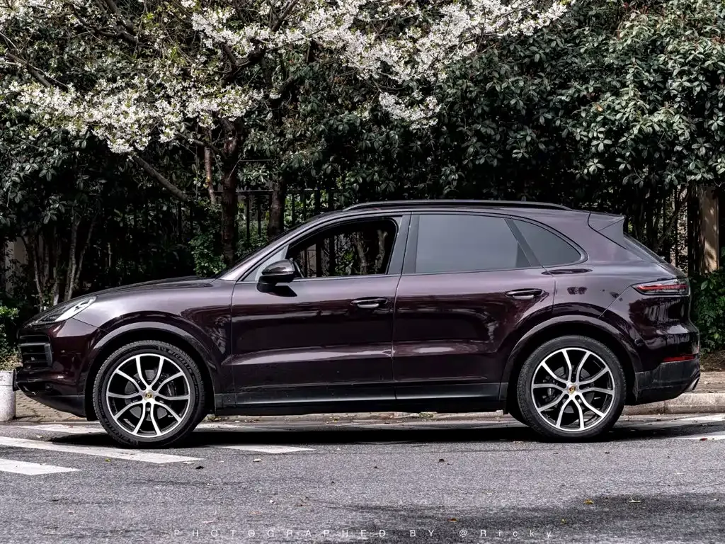 Porsche Cayenne — фото 8
