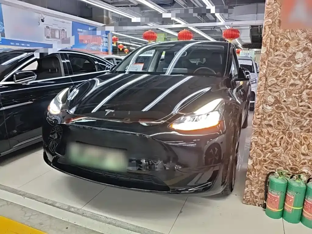 Tesla Model Y — фото 5