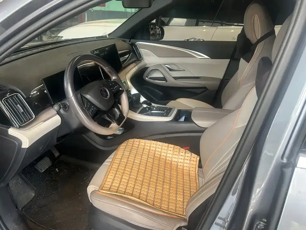 BYD Pro New Energy — фото 3