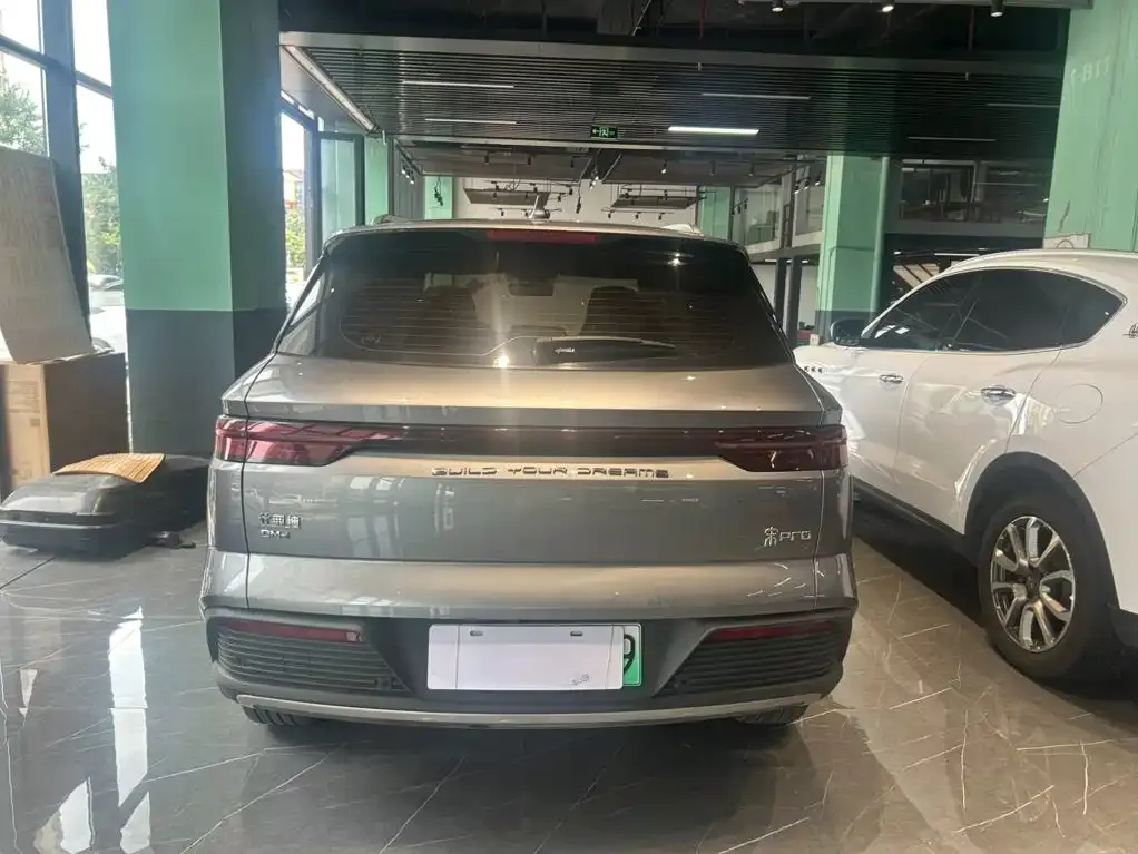 BYD Pro New Energy — фото 10
