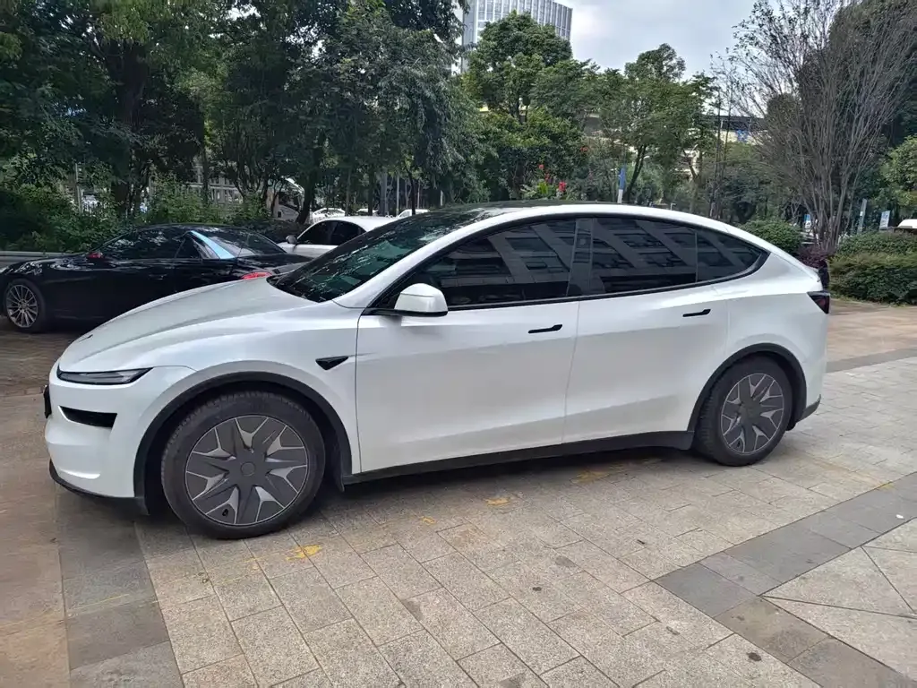 Tesla Model Y L — фото 10