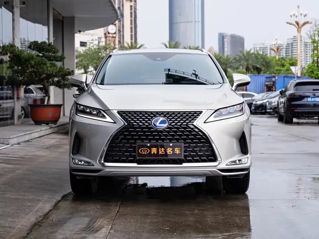Lexus RX — фото 10