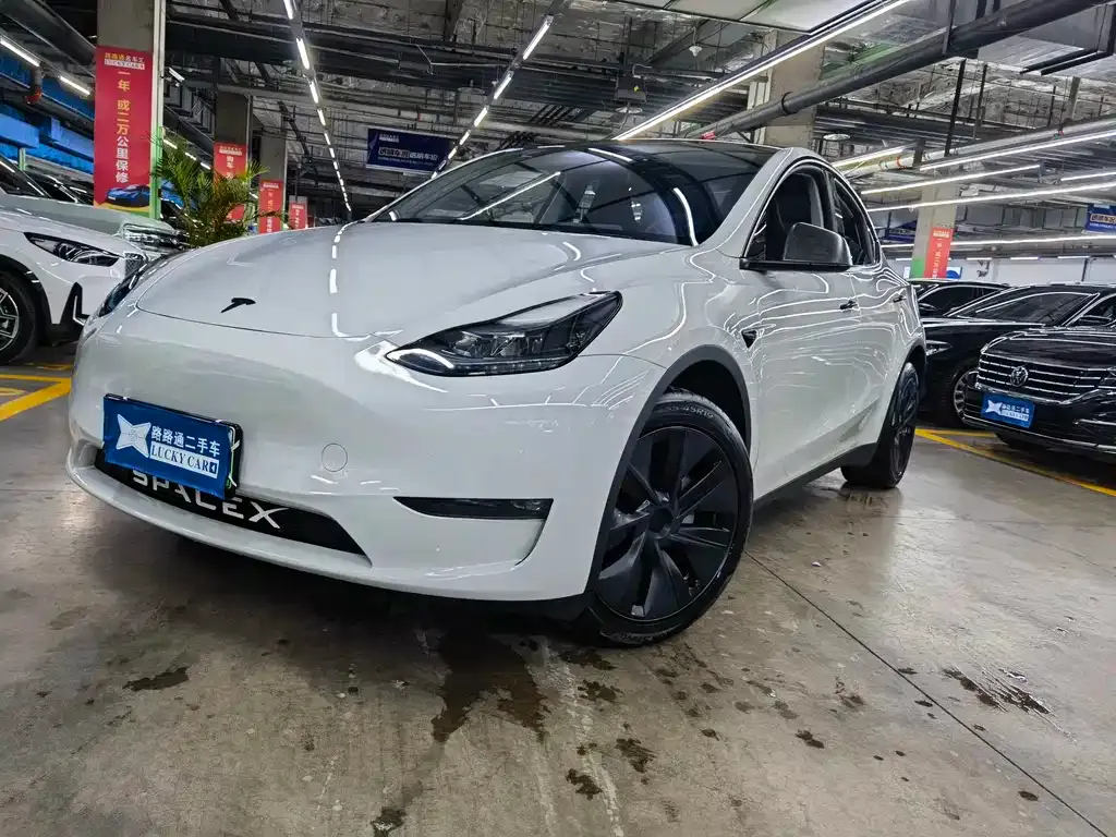 Tesla Model Y — фото 1