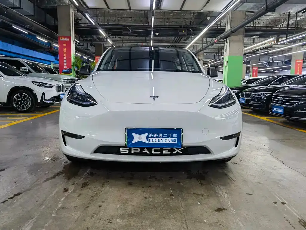 Tesla Model Y — фото 6