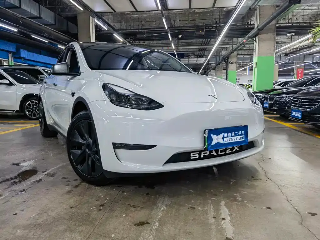 Tesla Model Y — фото 10