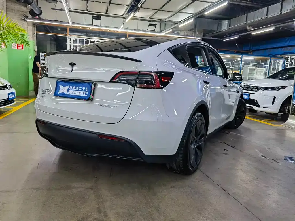 Tesla Model Y — фото 8