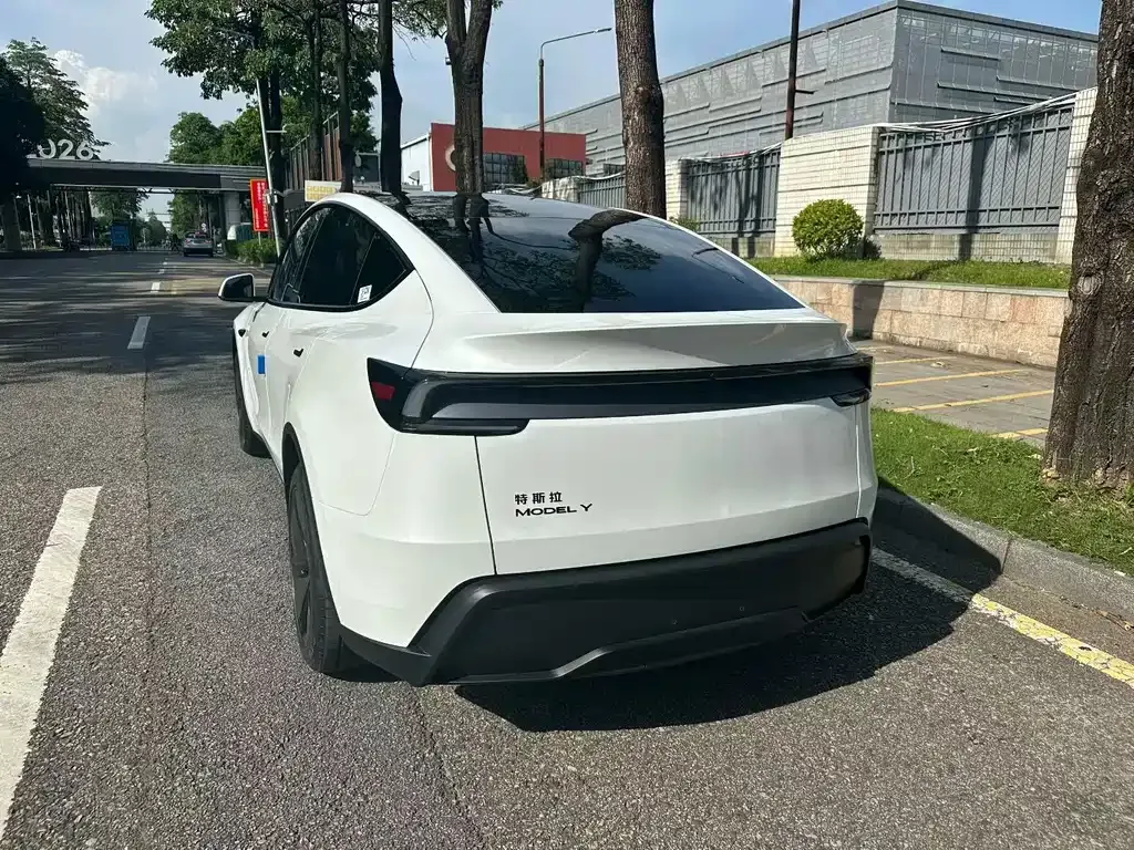 Tesla Model Y — фото 4
