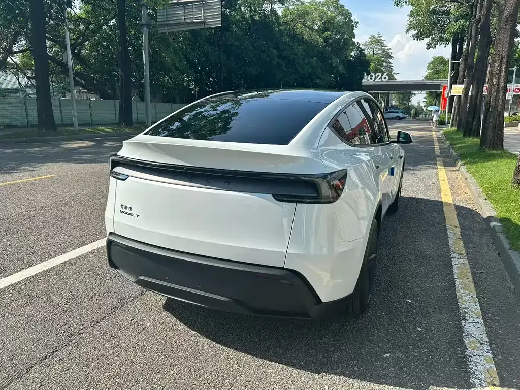 Tesla Model Y — фото 8