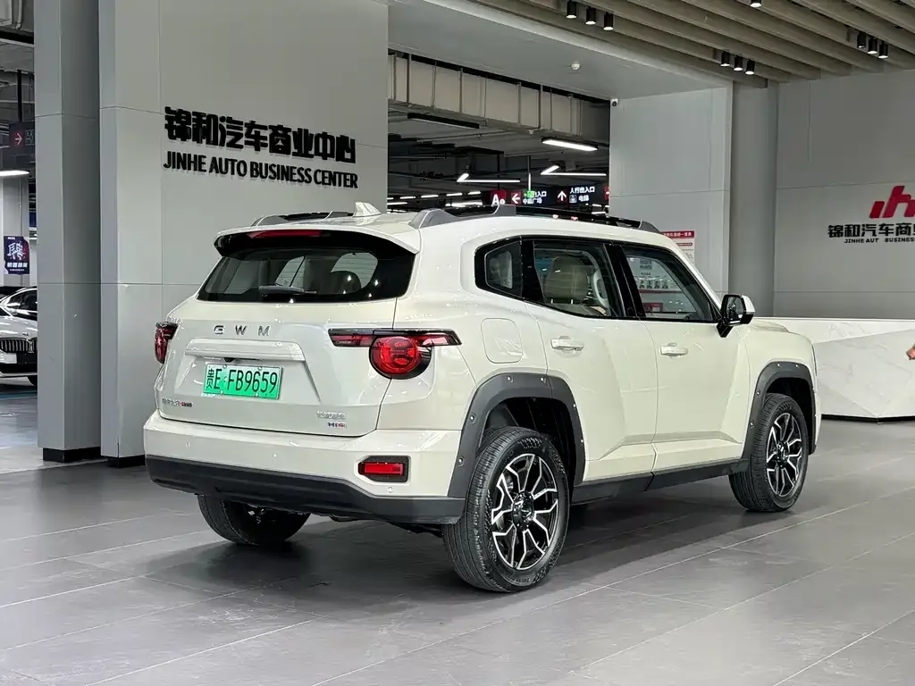 Haval Big Dog PLUS New Energy — фото 8