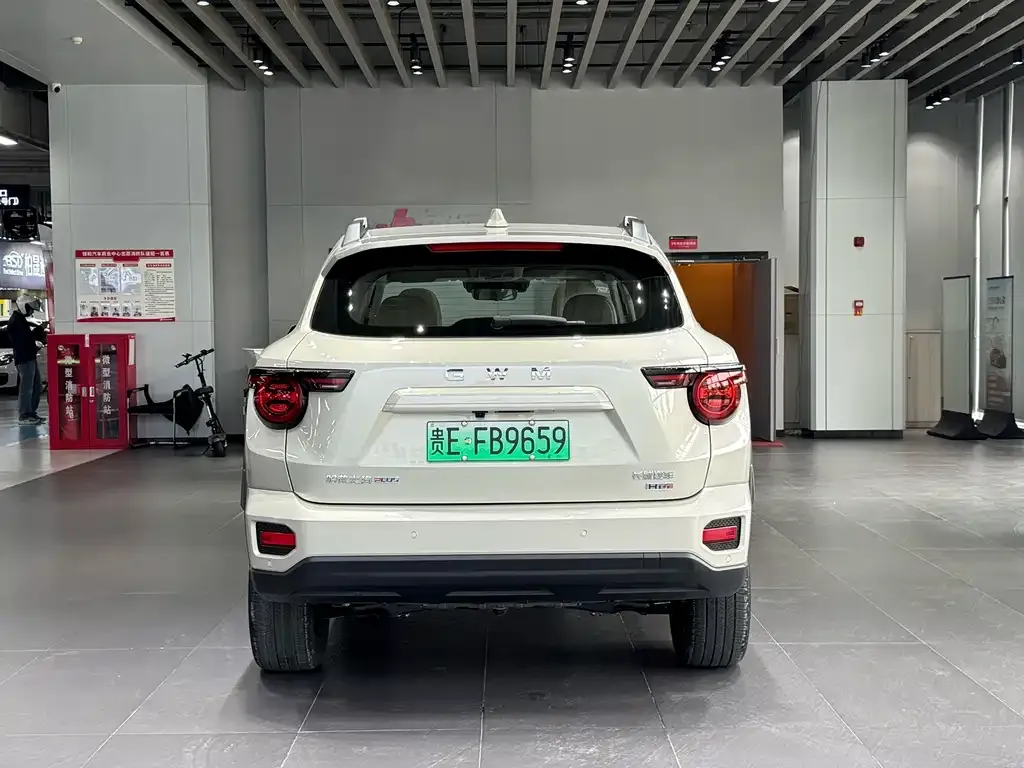 Haval Big Dog PLUS New Energy — фото 5