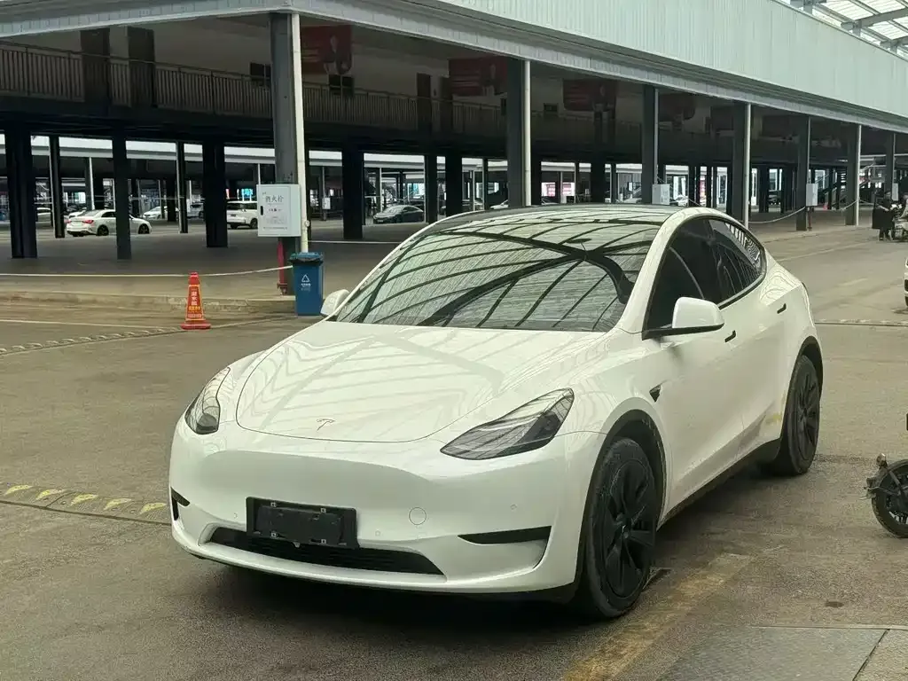 Tesla Model Y — фото 1