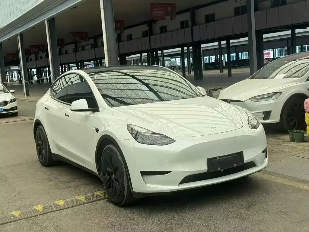Tesla Model Y — фото 3