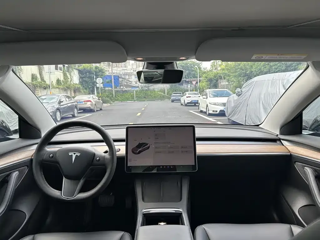 Tesla Model 3 — фото 2