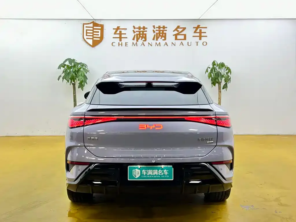 BYD Sealion 07 EV — фото 2