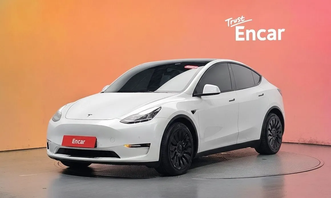 Tesla Model Y — фото 1