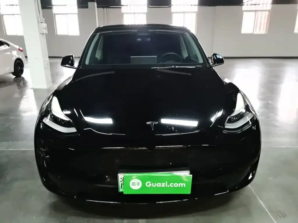 Tesla Model Y — фото 5