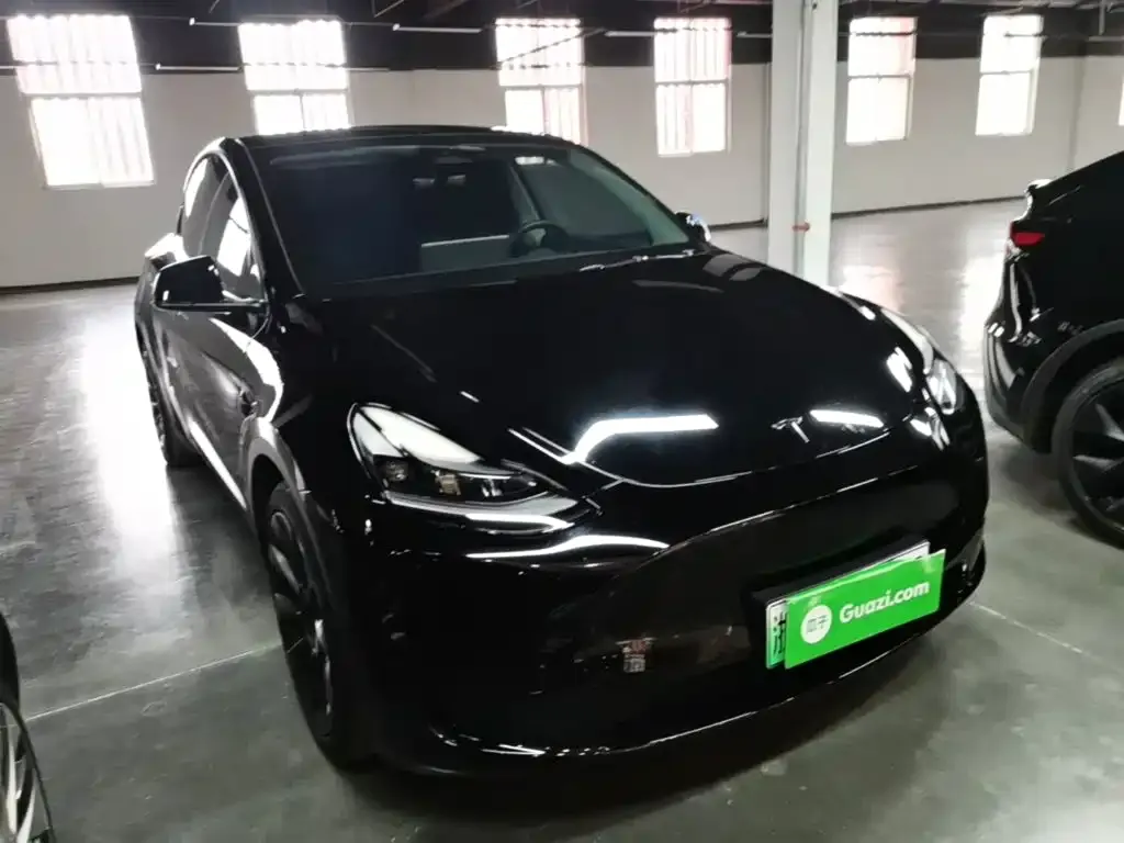 Tesla Model Y — фото 10
