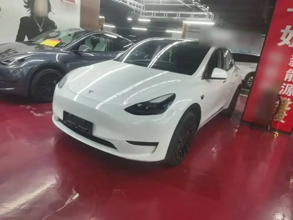 Tesla Model Y — фото 1