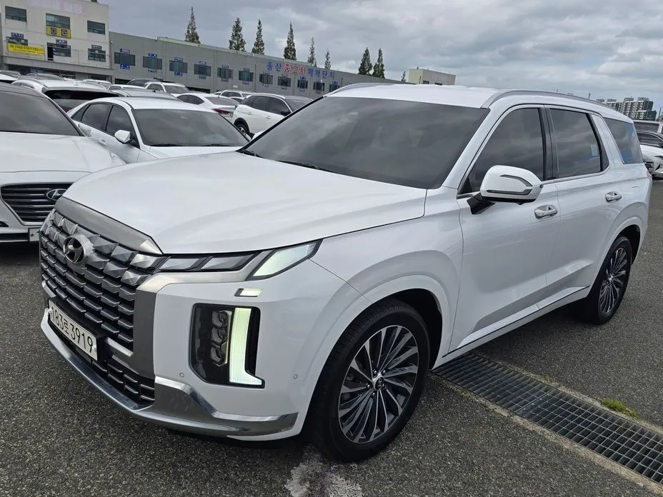 Hyundai Palisade — фото 1