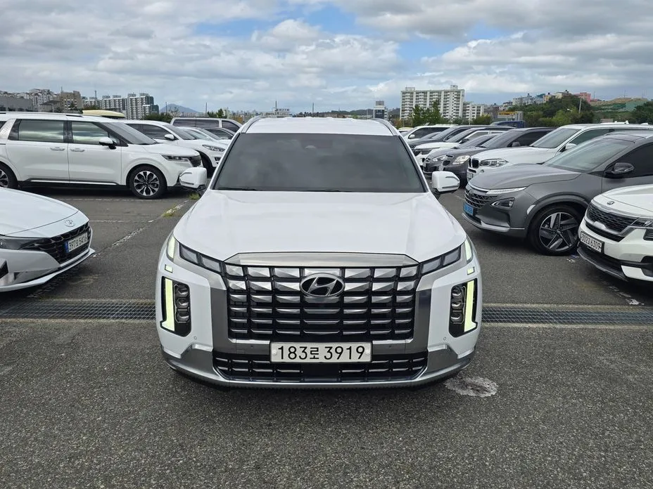 Hyundai Palisade — фото 10