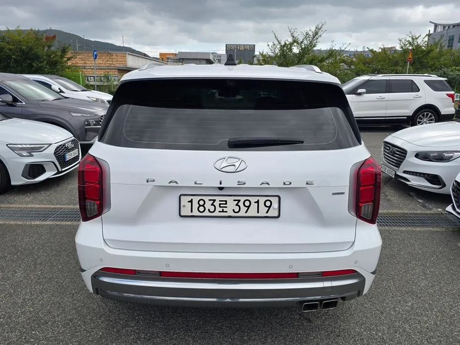 Hyundai Palisade — фото 7