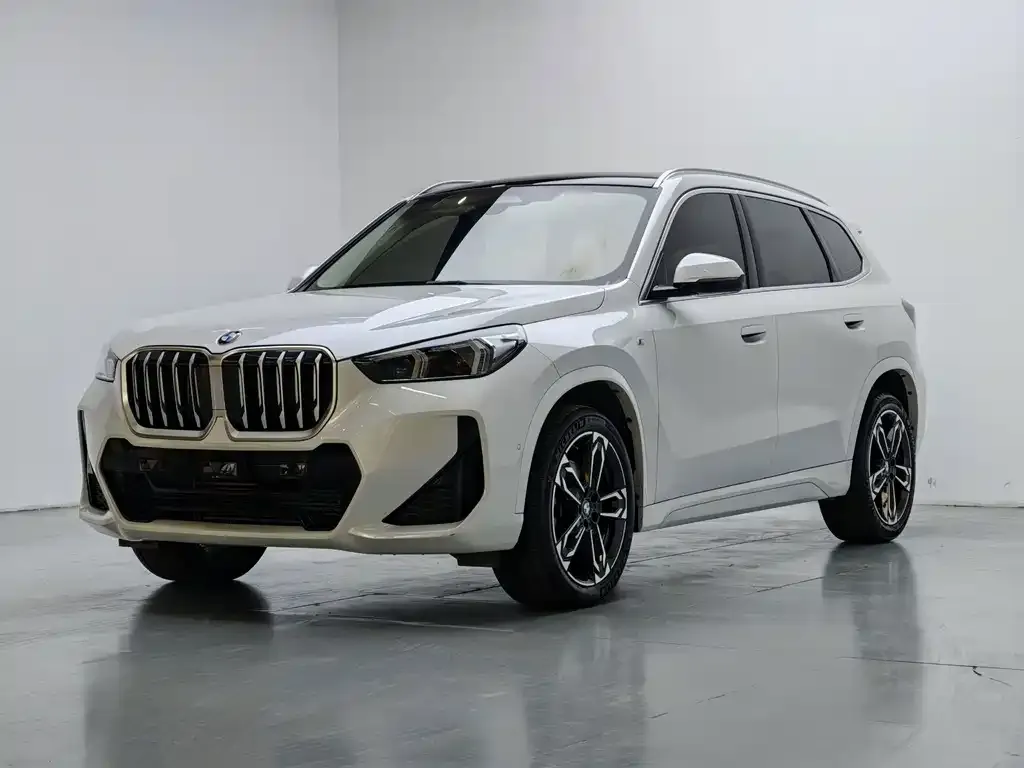 BMW X1 — фото 1