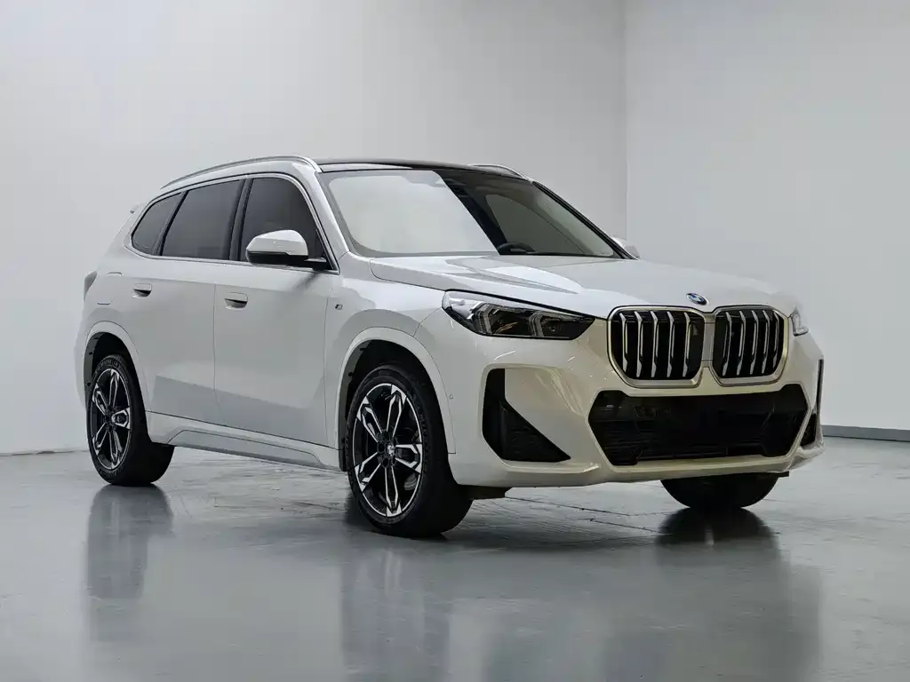 BMW X1 — фото 2