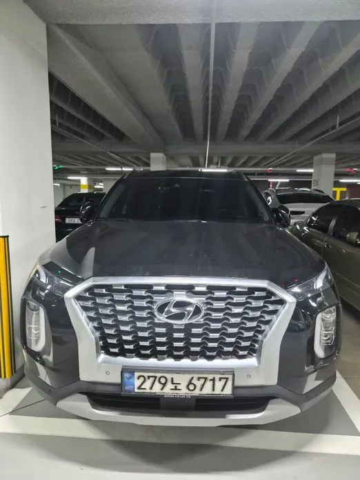 Hyundai Palisade — фото 1