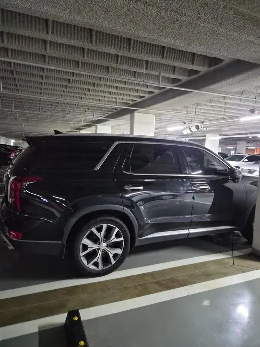Hyundai Palisade — фото 4