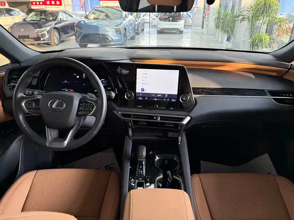 Lexus RX — фото 10
