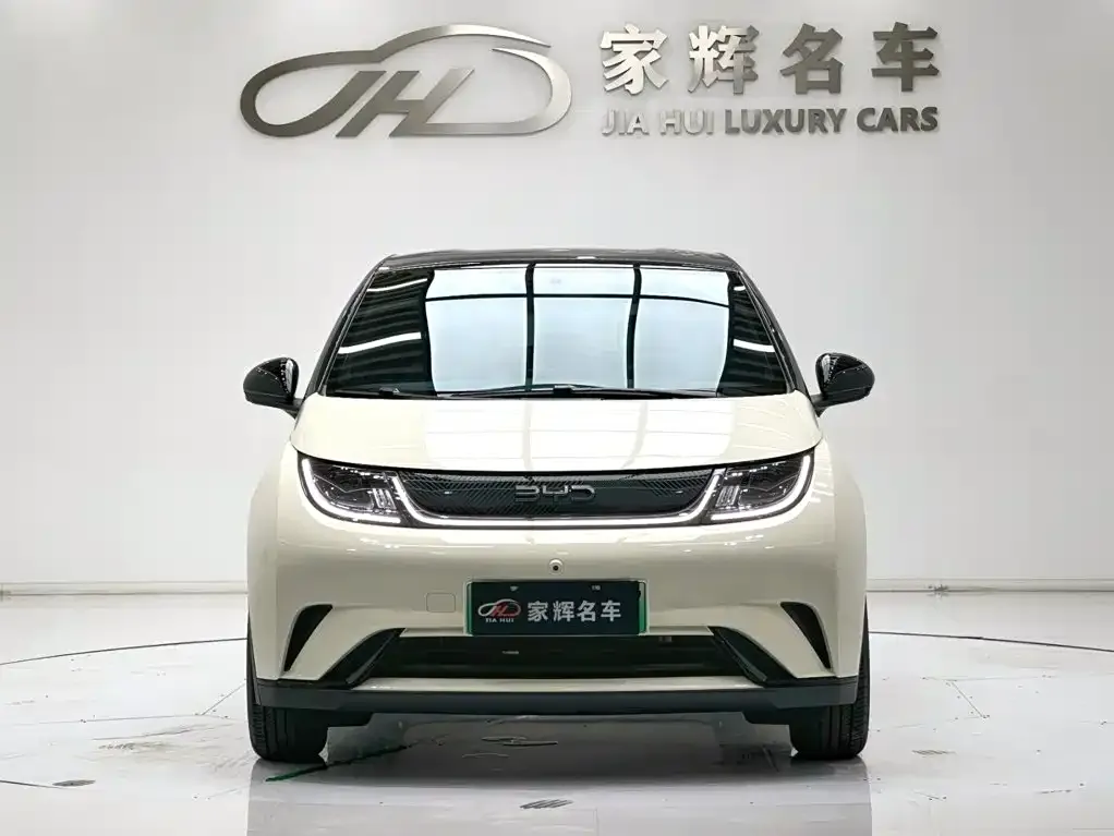 BYD Dolphin — фото 10