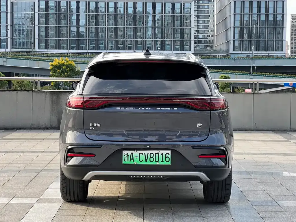BYD Tang New Energy — фото 8