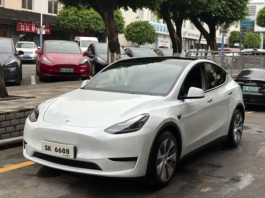 Tesla Model Y — фото 1