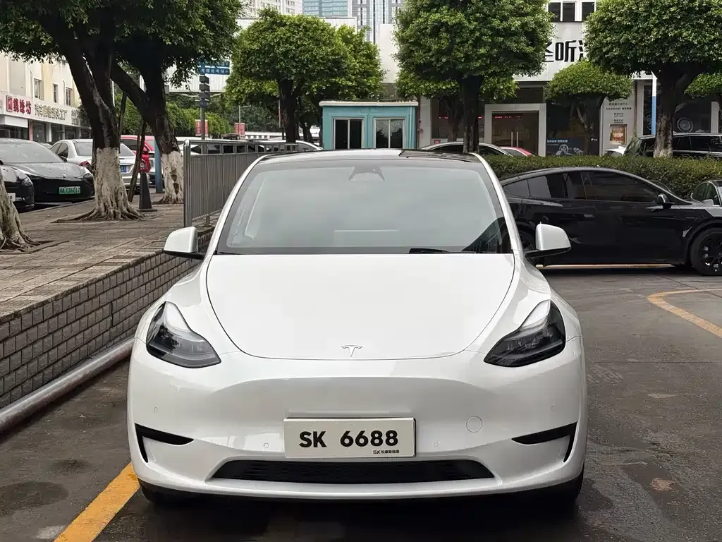Tesla Model Y — фото 7