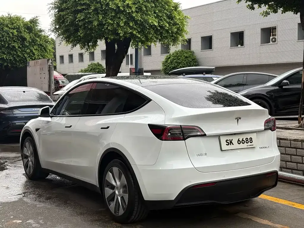 Tesla Model Y — фото 9