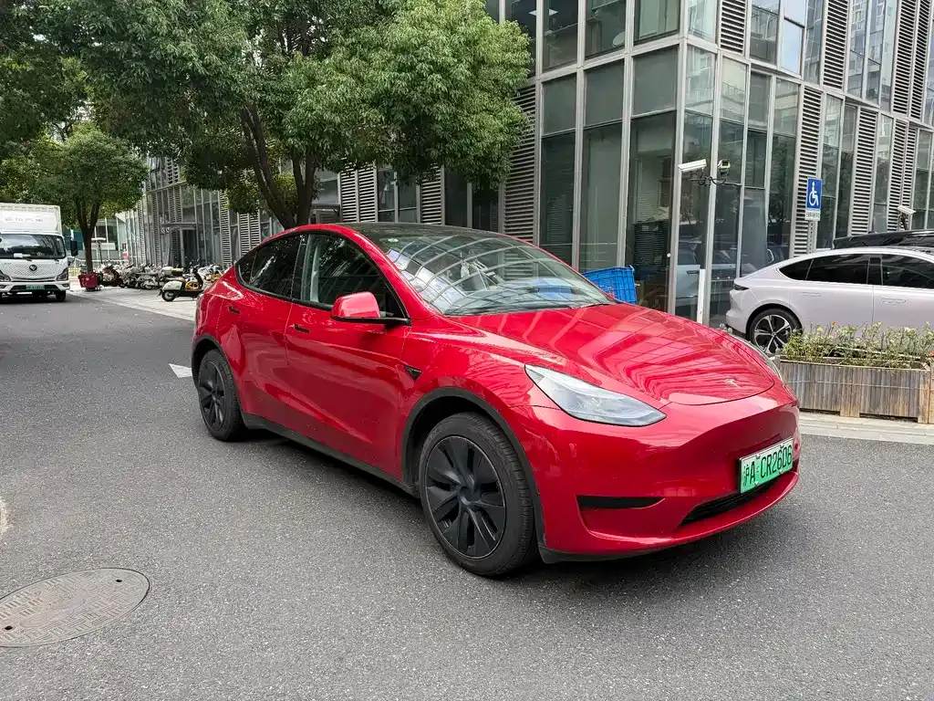 Tesla Model Y — фото 8