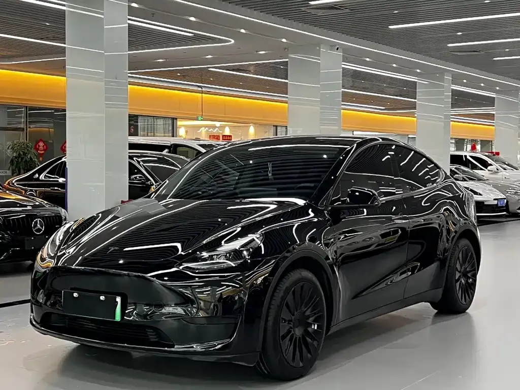 Tesla Model Y — фото 1